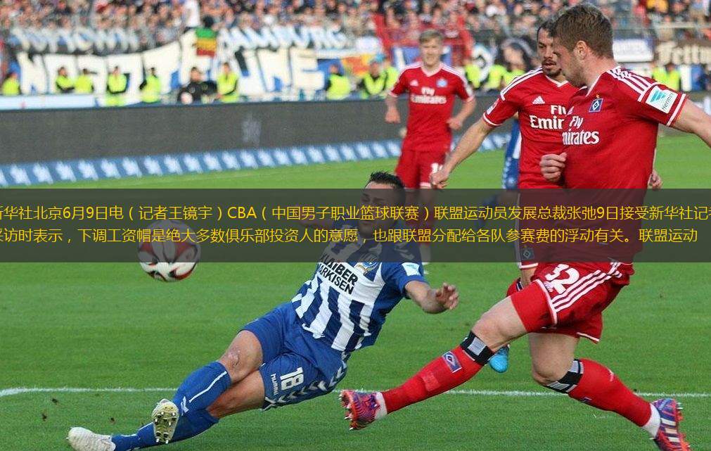 结论